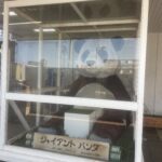 上野駅で25年ぶりの再会 ― ジャイアントパンダに感動！